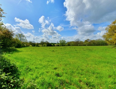 View Full Details for Dog Lane, Shirland, DE55