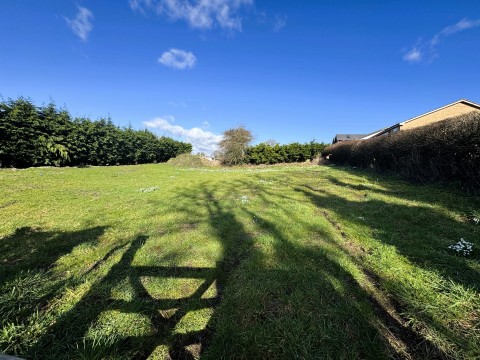 View Full Details for Riley Lane, Pentrich, DE5