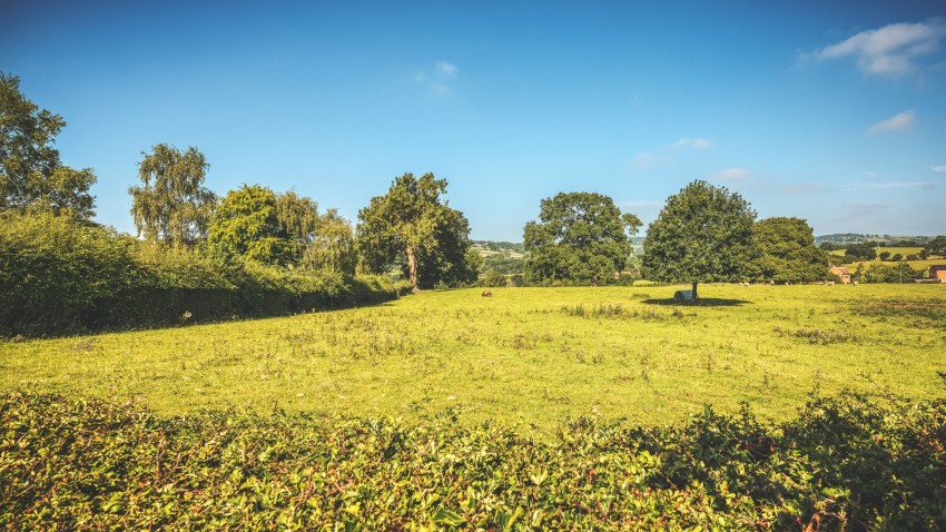Images for Manor Road, South Wingfield, DE55