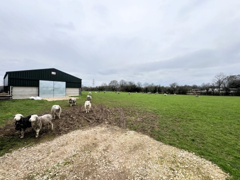 View Full Details for Dog Lane, Church Street, DE55