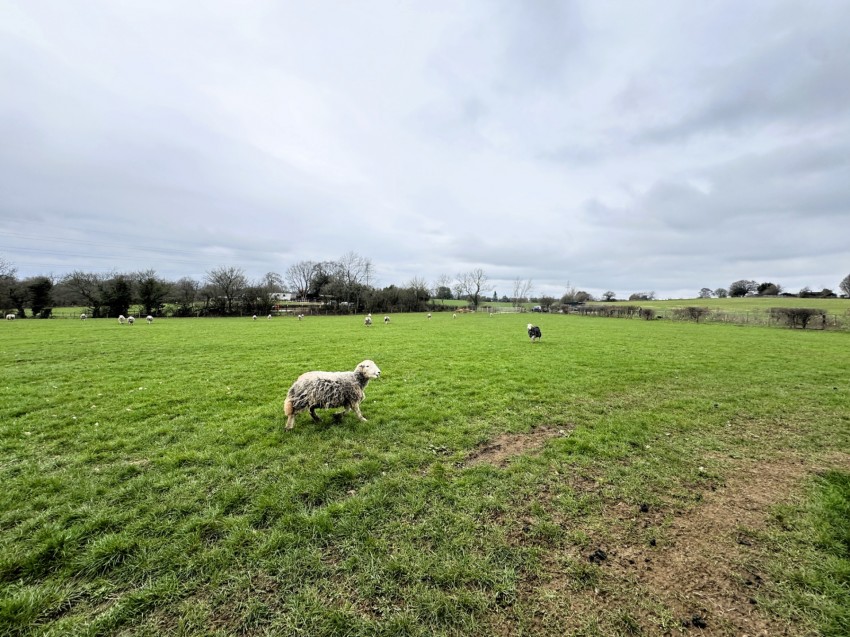 Images for Dog Lane, Church Street, DE55