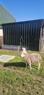 Images for Dog Lane, Church Street, DE55