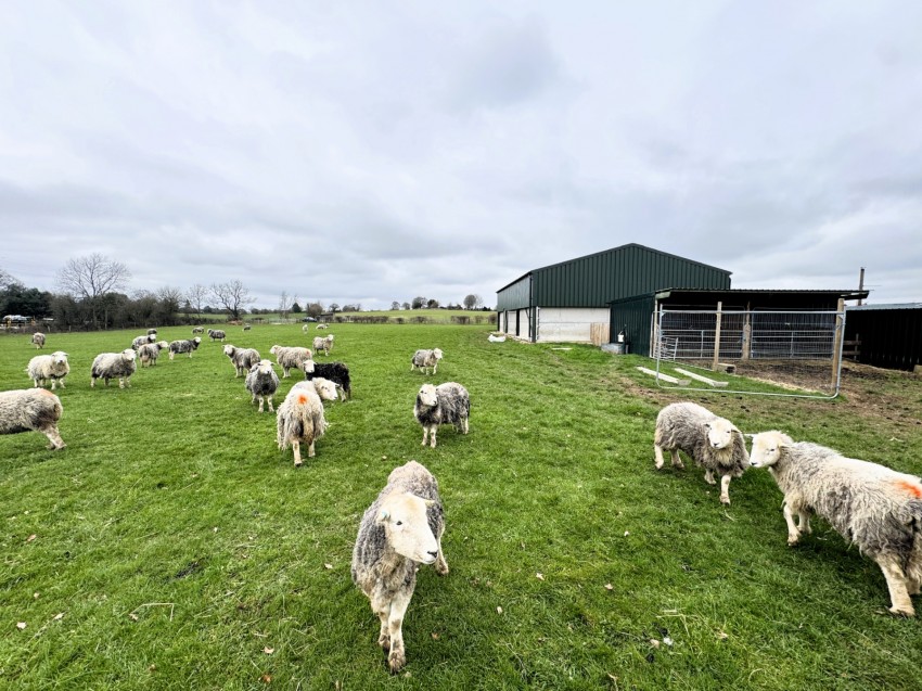 Images for Dog Lane, Church Street, DE55