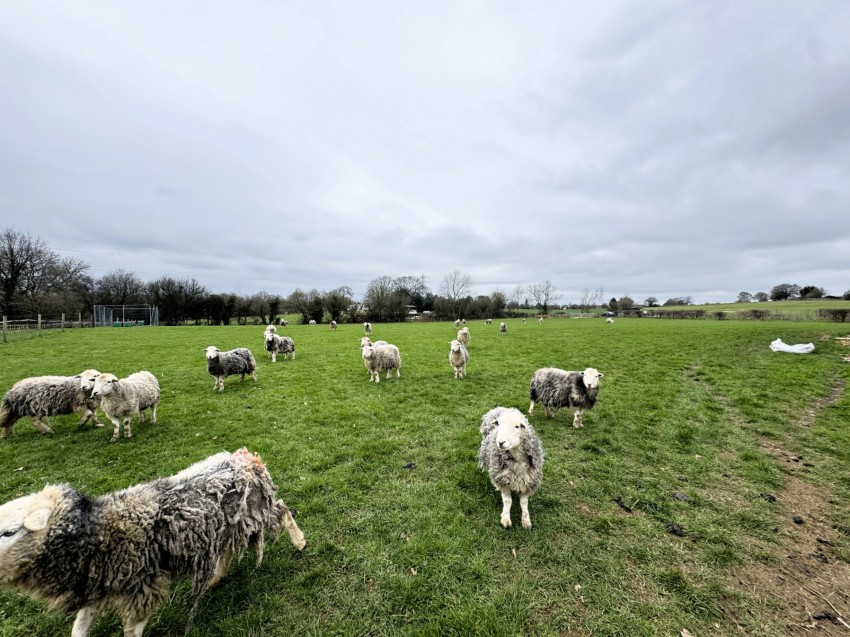 Images for Dog Lane, Church Street, DE55